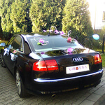 Thumb strojenie auta 16